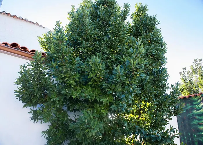 Casa vacanze Vegasan *