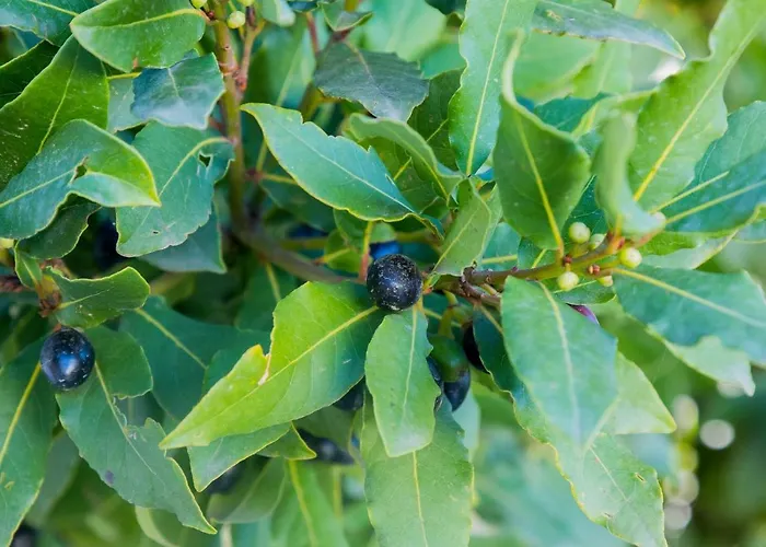 Casa vacanze Vegasan